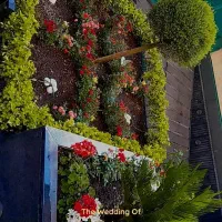 خدمات باغبانی گلکاری هرس کاری تعویض خاک گلدان|خدمات باغبانی و درختکاری|پردیس, فاز ۸|دیوار