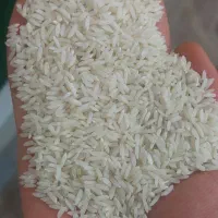 برنج