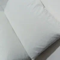 بالشت پر