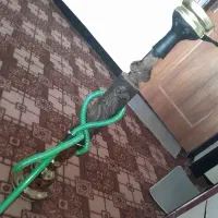 قلیون آدامس