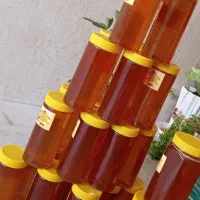 فروش عسل طبیعی