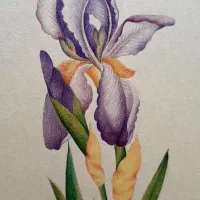 تابلو گل و مرغ