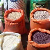 حبوبات درجه یک، عسل ،انواع برنج ایرانی و خارجی|خوردنی و آشامیدنی|ورامین, ورامین|دیوار