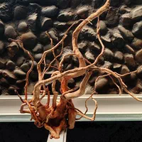 ریشه آبنوس اصلی سایز 40*40|ماهی|اصفهان, بهارستان|دیوار