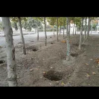 جمع اوری نخاله وکرایه کشی|خدمات حمل و نقل|نجفآباد, هفده شهریور|دیوار