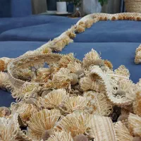 ریشه پرده حریر . شرابه