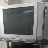 تلویزیون
