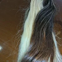 مو اکستنشن طبیعی در حد نو  دوتا مدل هستش