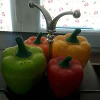 مجسمه|مجسمه، تندیس، ماکت|گلبهار, شهر جدید گلبهار|دیوار