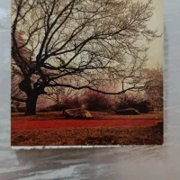 ده تابلو زیبا به ابعاد ۱۰سانت در ۱۰سانت|تابلو، نقاشی، عکس|شیراز, معالی‌آباد|دیوار