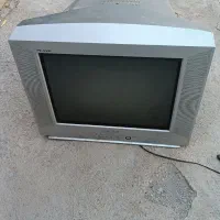 تلویزیون