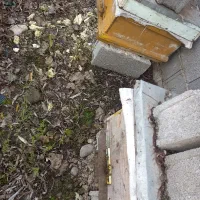 کندو عسل|حیوانات مزرعه|رشت, نخودچر|دیوار