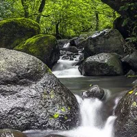 ماشین سواری سبزوار گرگان