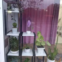 استند گل|صنایع دستی و سایر لوازم تزئینی|چابکسر, |دیوار
