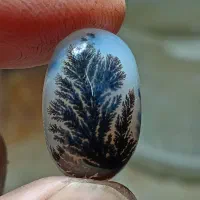 نگین شجرقائن|زیورآلات و اکسسوری|تربتحیدریه, طالقانی|دیوار