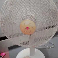 پنکه