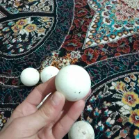 سنگ آسیاب یا سنگ الماس|کلکسیون اشیاء عتیقه|ارومیه, |دیوار