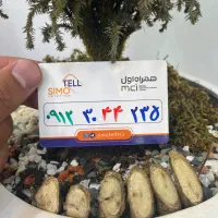 سیمکارت ۹۱۲ کد ۳ /.30.44.235