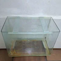 اکواریوم شرکتی