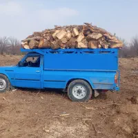 خریدار چوب وریشه