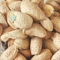 فروش بادام سنگی آبی|خوردنی و آشامیدنی|شیراز, دلگشا|دیوار