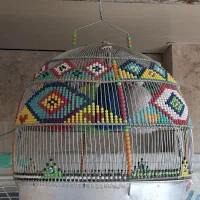 ۳عدد قفس سهره و سهره خاکی