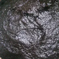 ترشی آلوچه|خوردنی و آشامیدنی|رشت, آب آسیاب|دیوار