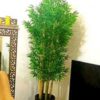 تولید درختچه های بامبو در سایزهای ۱۳۰تا۲۲۰سانتی|گل مصنوعی|رشت, کوی حسینی|دیوار