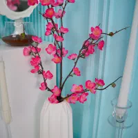 آتلیه عکاسی ساری