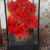 دو عدد عروسک و گل مناسب هدیه دادن|گل مصنوعی|اندیشه, اندیشه فاز ۱|دیوار