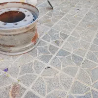 رینگ کفی تریلی