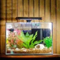فروش اکواریوم شیشه خم شرکتی