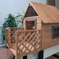 قفس پرنده وکلبه چوبی حیوانات خانگی