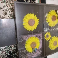 میز وسط ، جلو مبلی ، دارای چهار تا عسلی|مبلمان خانگی و میز عسلی|رودسر, |دیوار