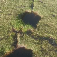 200-متر-زمین-خالی-در-روستای-حسنجان-به-فروش-میرسد