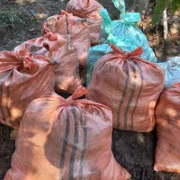 فروش کود حیوانی گاو کیسه ای ۶۰هزار تومان