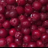 پخش باقالی منجمد البالو بدون هسته|خوردنی و آشامیدنی|تهران, جی|دیوار