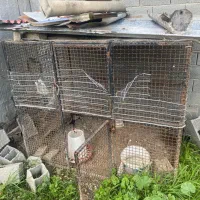 قفس آهنی مخصوص نگهداری حیوانات