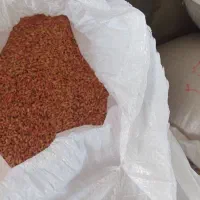 گندم بذری مرغوب اذر ۲ بوجاری وسم خورده آماده کاشت