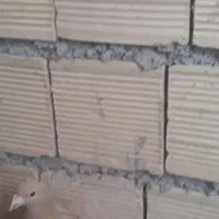 کبوتر پلاکی عطیقه