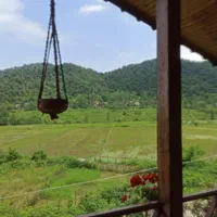 ویلا چوبی دوبلکس دربست روستای ورمیه ماسال|اجارهٔ کوتاه‌مدت ویلا و باغ|ماسال, |دیوار