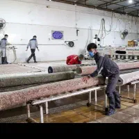 قالیشویی ورفوگریی دماوند|خدمات نظافت|دماوند, گیلاوند|دیوار