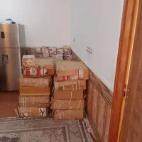 شادگان