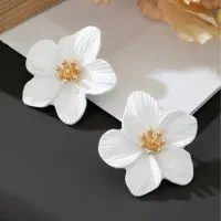 اکسسوری و بدلیجات