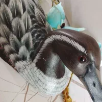 اردک چوبی کار دست خارجی مارک دار