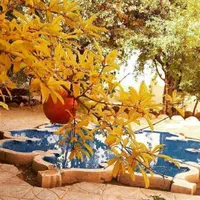 خدمت کار خانم جهت امور منزل و نگهداری از سالمند