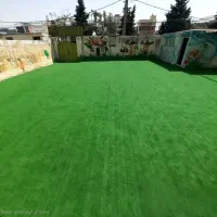 چمن مصنوعی|مصالح و تجهیزات ساختمان|یزد, |دیوار