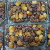 رطب کبکاب اهرم(محموداحمدی) درجه یک