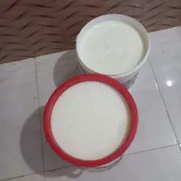 فروش دوغ محلی   قیمت بیست لیتری  150