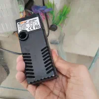 آکواریم مفت|ماهی|گلبهار, شهر جدید گلبهار|دیوار